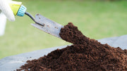 How Often to Fertilize: Plant-Specific Schedules