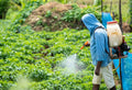 Proper Fertilizer Storage: Maintaining Nutrient Quality
