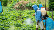 Proper Fertilizer Storage: Maintaining Nutrient Quality