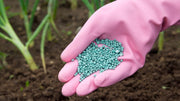 starter fertilizer