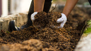 Why Pelletized Manure is the Best Slow-Release Fertilizer