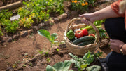 Pelletized Chicken Manure vs. Compost: What's Better? - The Answer Might Surprise You!