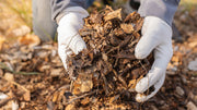 Understanding Organic Fertilizer: A Comprehensive Overview