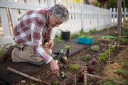 Slow Release Fertilizers: Long-Term Plant Nutrition