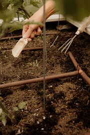 Granular vs Liquid Fertilizers: Which Works Better?
