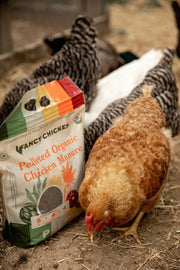 5 Reasons Organic Chicken Manure Wins Over Other Fertilizers - #4 Will Change How You Fertilize!