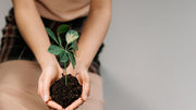 Soil Aggregation: Building Better Soil Structure