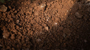 Improving Soil Porosity for Better Root Growth