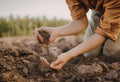 Natural Soil pH Adjustment Methods