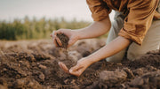 Natural Soil pH Adjustment Methods