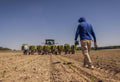 Solving Acidic Soil Problems Naturally