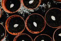 Treating Alkaline Soil with Organic Methods