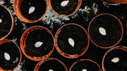 Treating Alkaline Soil with Organic Methods