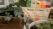 Does Cow Manure Have Nitrogen? What Gardeners Need to Know Before Fertilizing