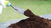 How Long Between Fertilizer Applications? A Plant-by-Plant Feeding Schedule