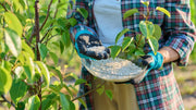 Fertilizer Granule Size: What It Means for Your Garden and How to Get It Right