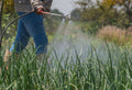 Fertilizer Safety: Handling and Application Best Practices