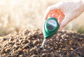 Soil Testing Before Fertilizing: Essential Steps