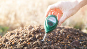 Soil Testing Before Fertilizing: Essential Steps