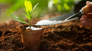 How Fertilizer Humidity Affects Your Garden Investment and Storage Success
