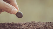 Complete Soil Building Guide: Create Rich, Living Soil