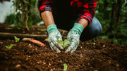 Soil Improvement Techniques for Better Gardens