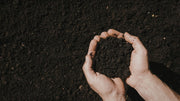 Best Soil Amendments for Every Soil Type