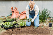 Beginners Guide to Backyard Gardening: Everything You Need to Start