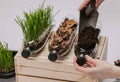 Biodegradable Fertilizer Options That Feed Your Soil