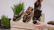 Biodegradable Fertilizer Options That Feed Your Soil