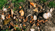 Chemical vs. Organic Safety: What Actually Protects Your Soil