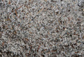 Cottonseed Meal vs Blood Meal Which Organic Nitrogen Source Is Right for Your Garden