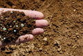 Custom vs. Pre-Mixed Fertilizer: Which One Fits Your Soil?