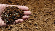 Custom vs. Pre-Mixed Fertilizer: Which One Fits Your Soil?