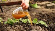 Eco Friendly Fertilizer for Sustainable Gardens