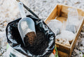  Essential Soil Nutrients Guide for Healthy Gardens