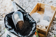  Essential Soil Nutrients Guide for Healthy Gardens