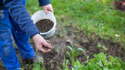 Chicken Manure vs Fish Emulsion: Which Organic Fertilizer Wins?