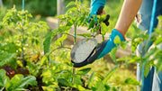 Does Plant Fertilizer Go Bad in the Bag or Bottle?