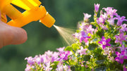 bloom booster fertilizer