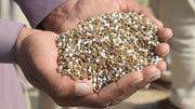 The Best Organic Fertilizer Brands Worth Your Money
