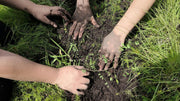 What is Living Soil