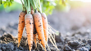 Soil Nutrition Guide