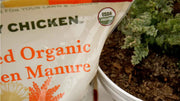 Types of Fertilizers: A Complete Classification Guide for Home Gardeners