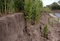 Soil Erosion Prevention