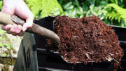 The Real Benefits of Organic Fertilizer for Your Garden and Soil