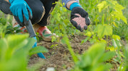 How Much Fertilizer Do I Need? A Garden Calculator Guide That Works