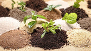 Clay Soil Improvement: Your Complete Guide to Better Garden Soil