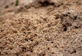soil water retention