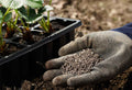 Fast-Acting Fertilizer vs. Slow-Release Fertilizer: A Complete Timing Guide